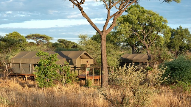chobe safari lodge tented safari camp and game lodge package